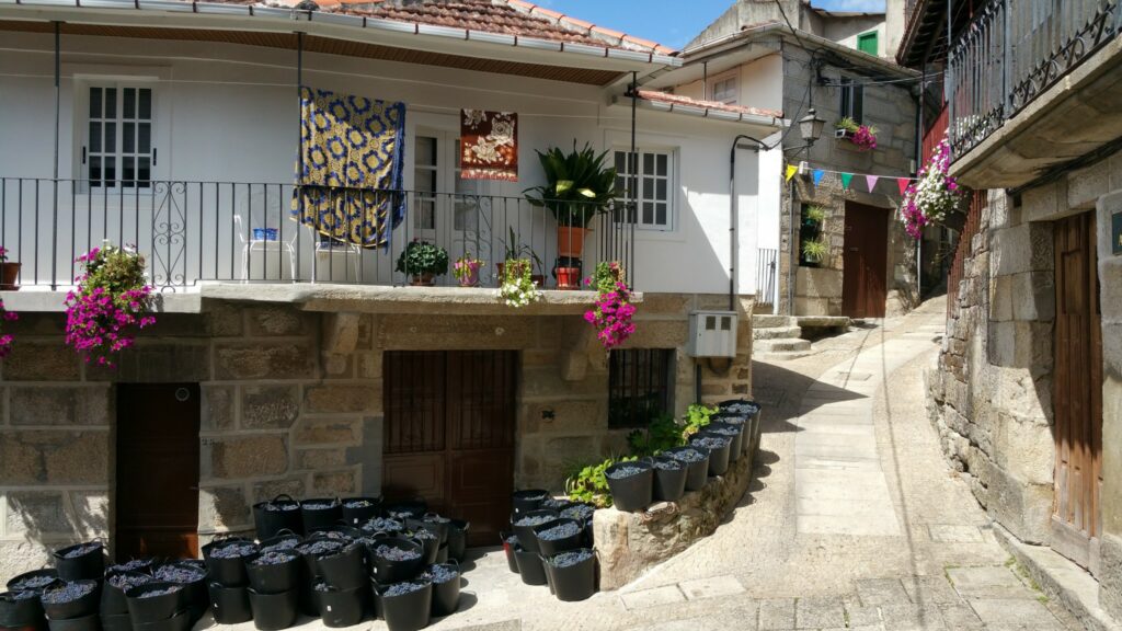 Pazos de Arenteiro