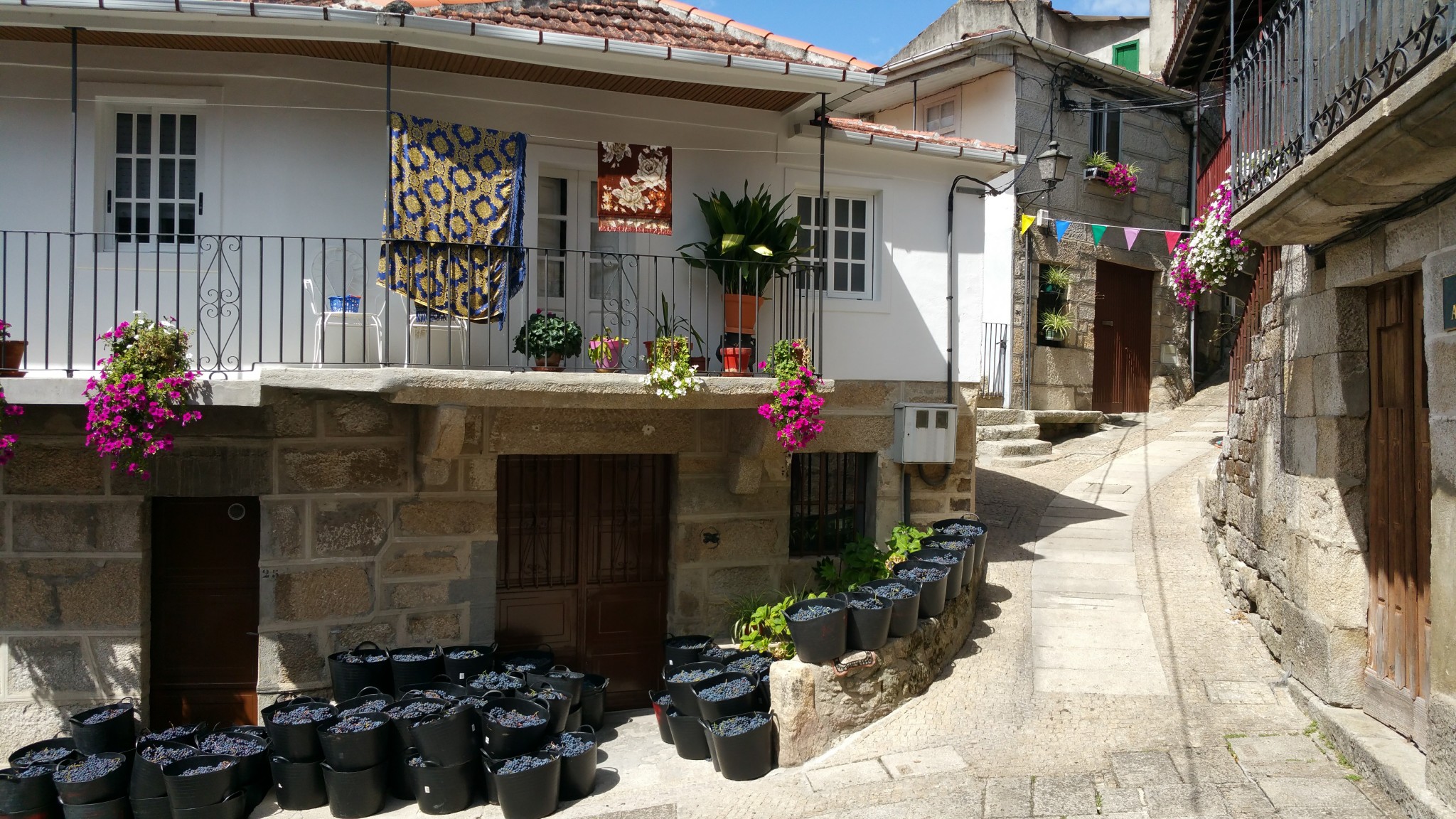 Pazos de Arenteiro