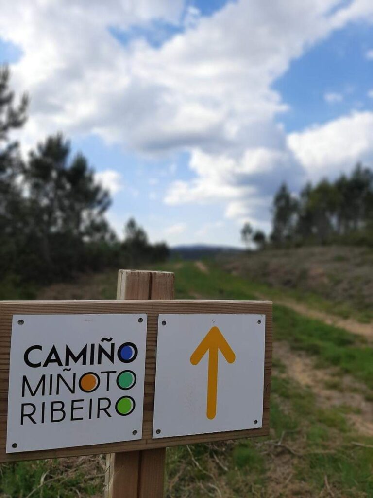 Camino Miñoto Ribeiro