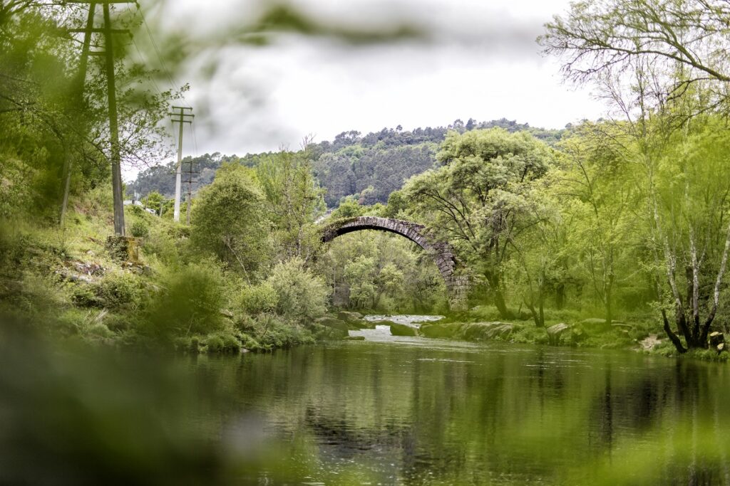 Puente Castro Cadavoso