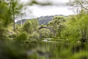 Puente Castro Cadavoso